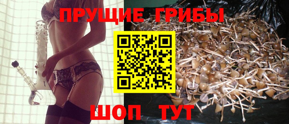 Галлюциногенные грибы мухоморы  Вход с VPN  где купить   Абинск 